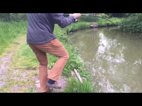 Catching big carp: margin method feeding