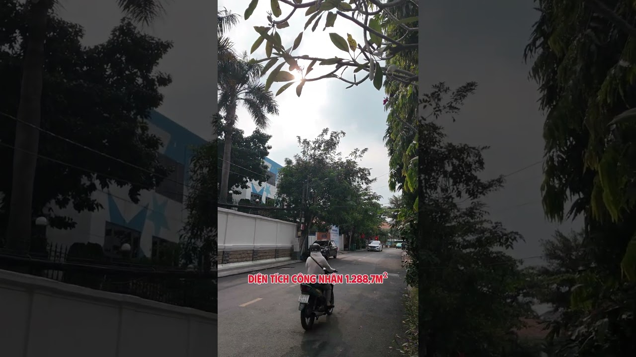 Ảnh đại diện Video
