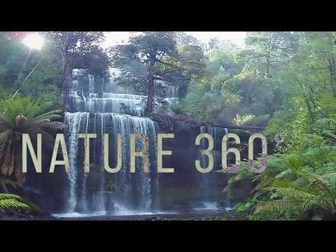 nature treks together oculus quest 2