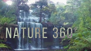 Virtual Nature 360° - 5K Nature Meditation for Daydream, Oculus, Gear VR