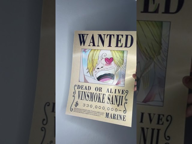 One Piece Luffy Zoro Wanted Fabric Poster Anime Poster youtube anime