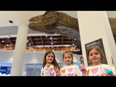 Ditelindja e Babit ne “Prishtina Mall Center” (Reina Morea & Ajka)