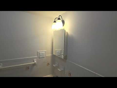 video 1