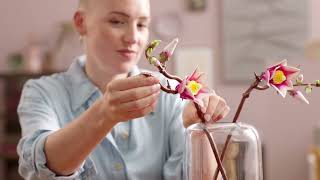 LEGO Botanicals - Větvičky magnólie