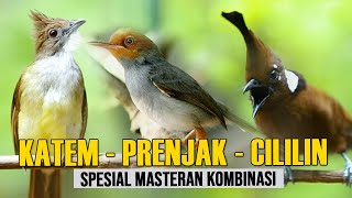 Download lagu KAPAS TEMBAK -  CILILIN - PRENJAK mp3