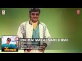 Pachai Malai Samy Idhu Namma Aalu High Quality Clear Audio Song