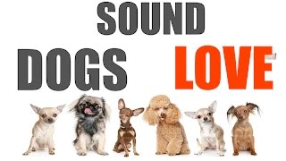 Sound Dogs Love All Time | HQ