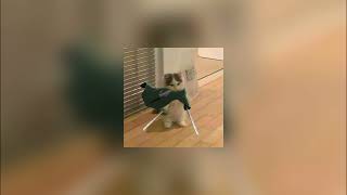 Cover art for Armed and Dangerous