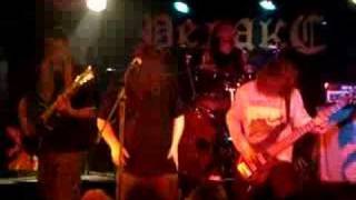 Forest Stream - Black Swans