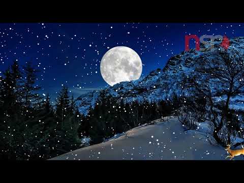 Thuyền Tình Trên Sóng - NSN Karaoke