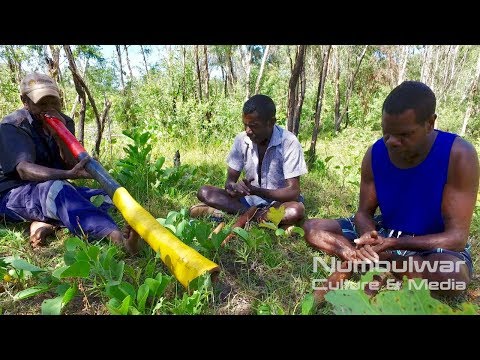 Dhaambulg Yambirrgu 1 (Parrot Fish) - Murrungun Clan Songs