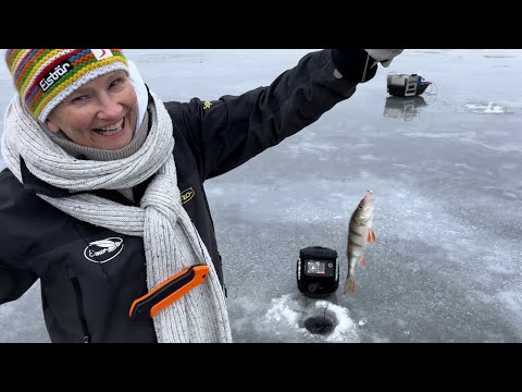 Huikeeta touhuu hei - Fiblonin ikimuistoinen kehittämis- ja virkistäytymispäivä Eumerilla