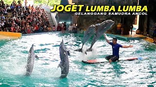Download lagu LUMBA LUMBA Joget TikTok bikin MATA gak bisa KEDIP 😱 | Atraksi Lumba Lumba Ancol || DOLPHIN DANCE mp3 Download lagu LUMBA LUMBA Joget TikTok bikin MATA gak bisa KEDIP 😱 | Atraksi Lumba Lumba Ancol || DOLPHIN DANCE mp3
