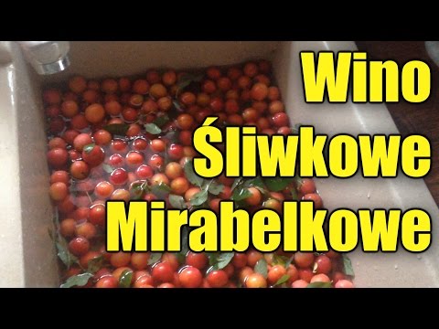 Wino ze Śliwek Mirabelki