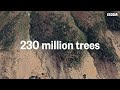 Ecosia - The search engine that plants trees