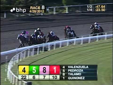 The 19th Running of the Snow Chief Stakes - $300,000 Guaranteed