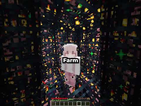 Cách để trở thành người giàu trong KingSMP