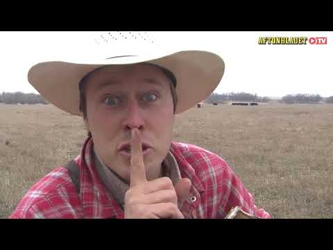 VIRAL TV Säsong 3 Avsnitt 11