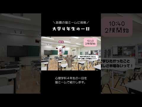 猫ミームで紹介！大学4年生の1日#猫ミーム #猫ミーム日常 #徳島文理大学 #shorts