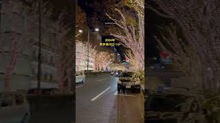 2024年12月 #表参道イルミネーション #FENDI がスポンサーなんだって。綺麗だった #tokyo #表参道 #illumination