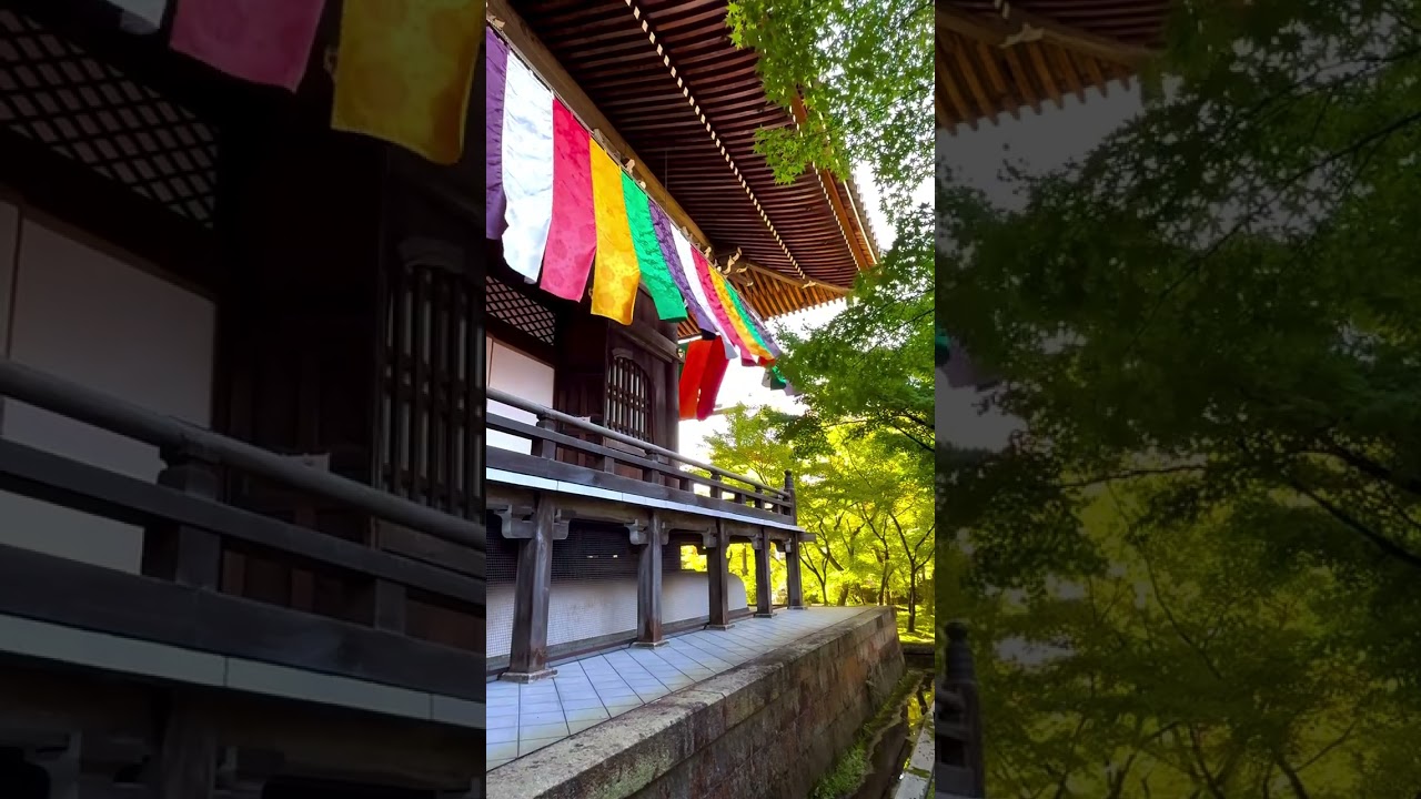 YouTube Short thumbnail