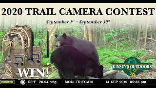 2020 Trail Camera Contest - Kinsey's Outdoors
