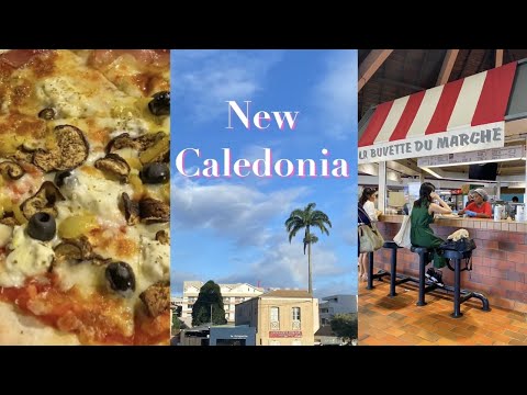 Vlog de viagens ao exterior - Nova Caledônia/Nouméa/Road trip/Niauri/Bourpari/Bourail/Poet Beach/Lemon Bay/Botanique/Aircarin/Férias/vlog de férias de uma senhora de escritório dos anos 20