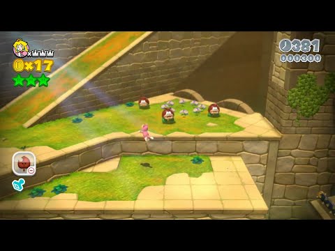Super Mario 3D World 4-5 Speedrun - Time: 32 (Former WR)