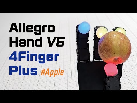 Allegro Hand V5 Plus Review Video 3