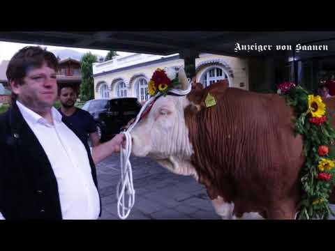 4. Gstaad Züglete – ein Publikumserfolg trotz Nieselregen