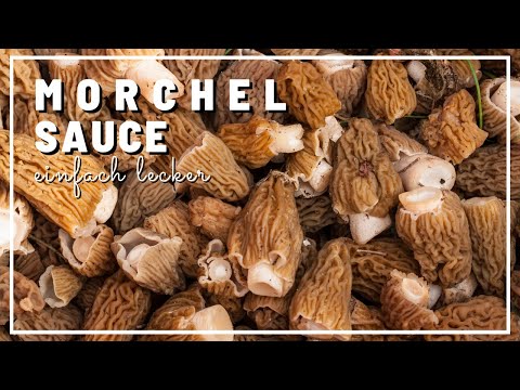 Morchelsauce Zubereitung #gerykocht