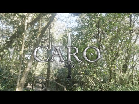 Artujo, aikia - CARO 💔 (Visualizer)