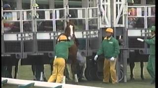 Re: [賽馬娘] 無聲鈴鹿甚麼時候變這麼皮的？