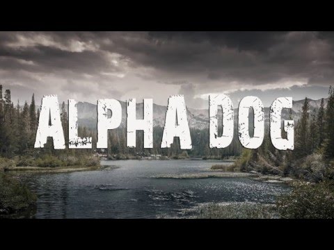 Alphadog - Grey