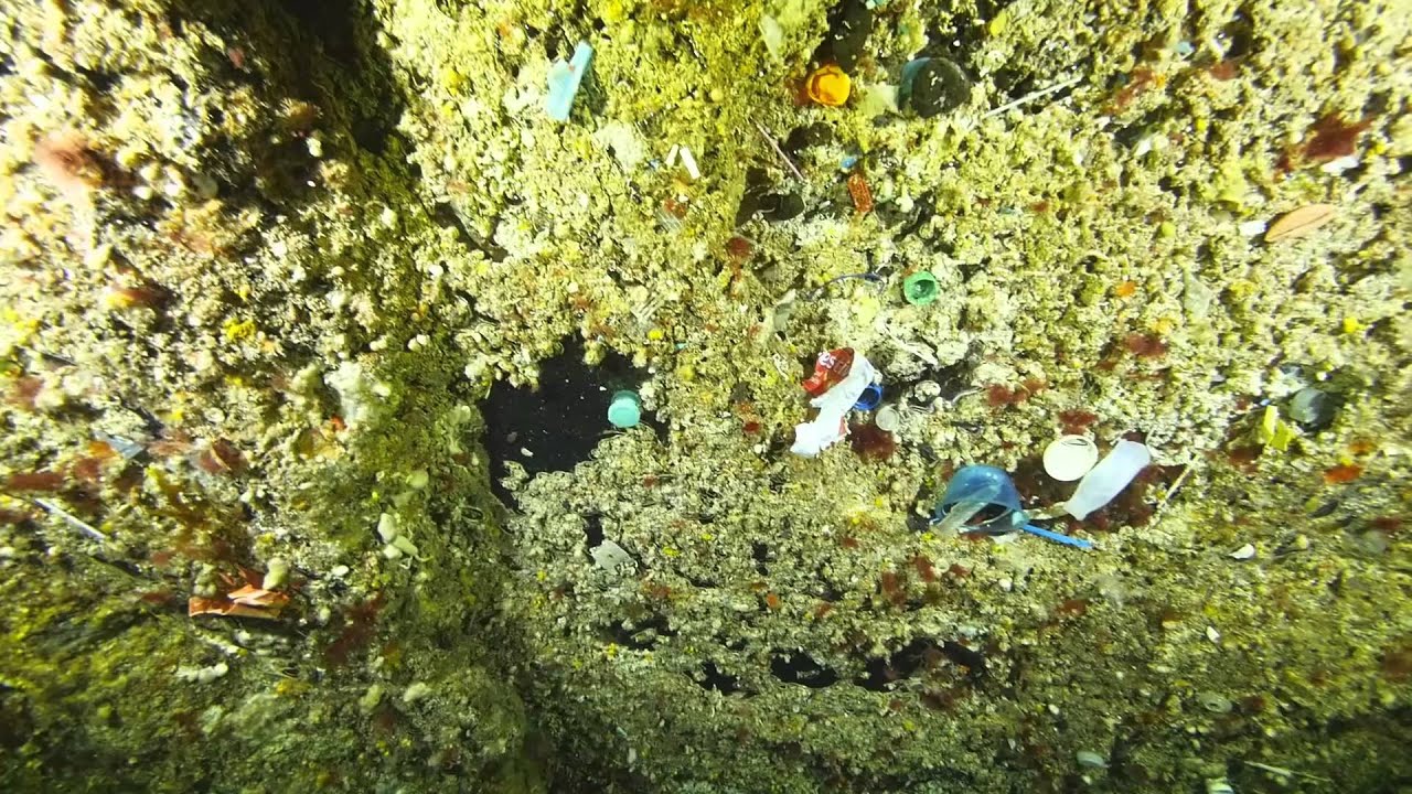 Plastic Pollution in an Underwater Cave