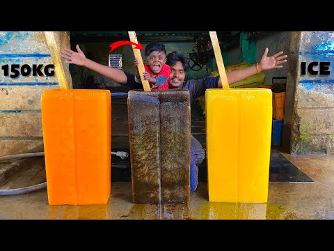 Fabricação de sorvete de 150 KG com Kutti Puli | வாங்க