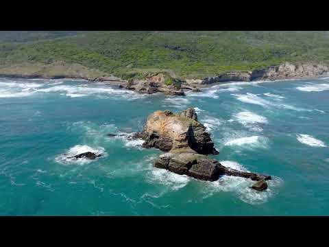 CHILE: Virgin Valdivian Rainforest Coast (No Roads)