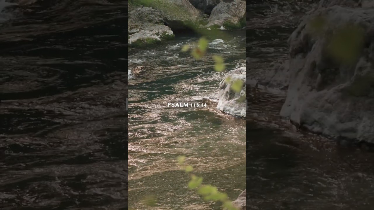 Psalm 118:14 | The LORD is my strength and song