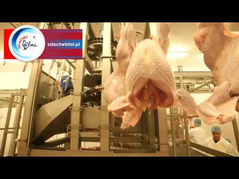 PREZENTACJA NASZEJ LINII UBOJU W ZAKŁADZIE PRZETWÓRSTWA DROBIU BIAŁORUŚ- POULTRY PROCESSING PLANT