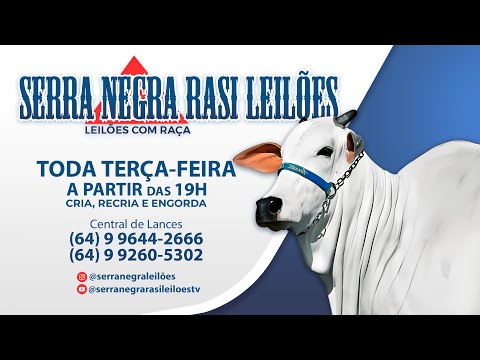 28 DE JULHO DE 2026 | LEILÃO  SERRA NEGRA RASI LEILÕES - PIRACANJUBA - GO