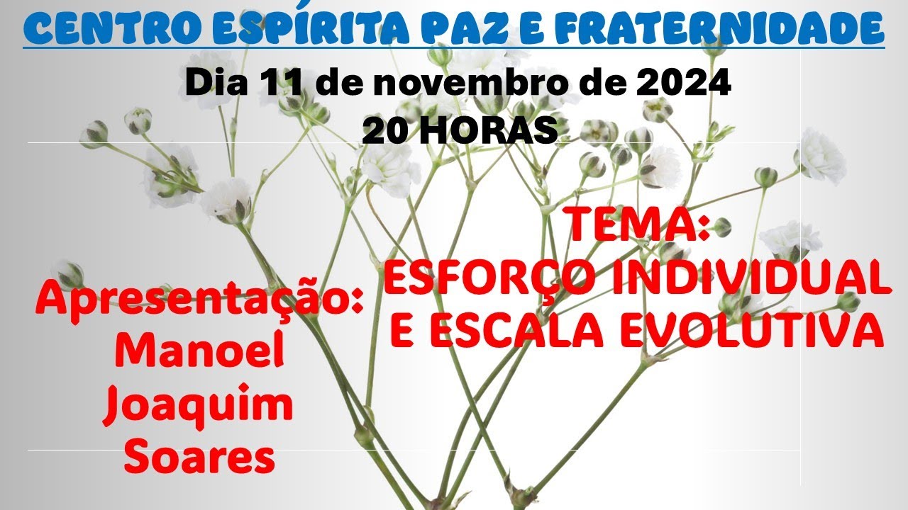 ESFORÇO INDIVIDUAL E ESCALADA EVOLUTIVA