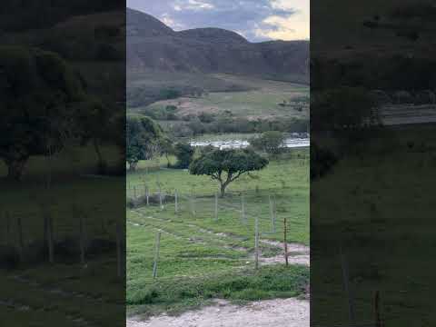 Fazenda Ressaca, Piatã, Bahia