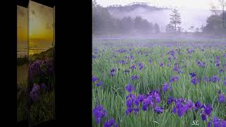 Amanda Lear - Blue Tango