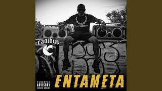Entameta Music Video