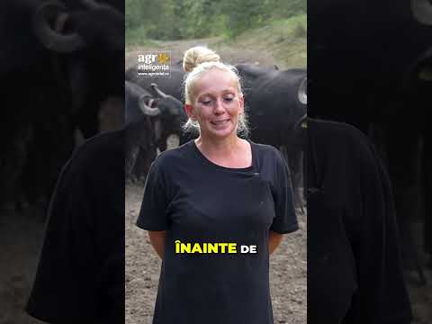 ”Erau iubirea lui și ținea foarte mult la ele. Nu m-a lăsat inima să le vând”