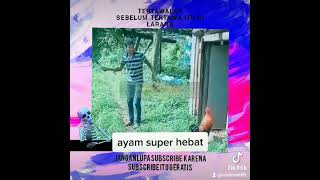 Download lagu ayam super hebat,😂😂| #memes #viralcomedy #gaming #viralvideo #viralshorts #fyp #shorts mp3 Download lagu ayam super hebat,😂😂| #memes #viralcomedy #gaming #viralvideo #viralshorts #fyp #shorts mp3