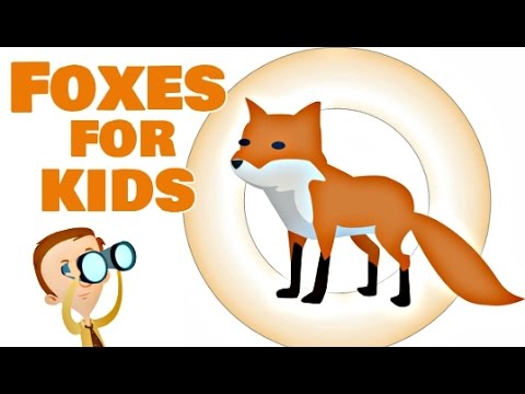 Foxes for Kids