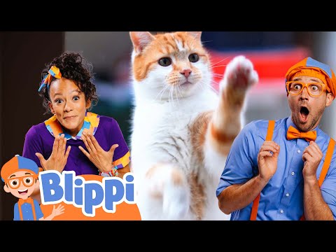 Meekah's Pet Song! | Educational Videos for Kids | Blippi and Meekah Kids TV