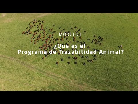 Módulo I ¿Qué es el Programa de Trazabilidad Animal?