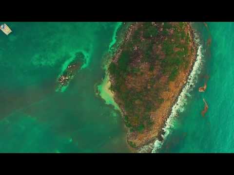 Dual Wielding - juggernaut set - Dota 2 Vote it here